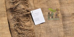 Handloom Hemp Fabric