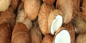 Semi Husked Coconut