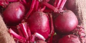 Beetroot