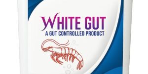 white gut aqua probiotics