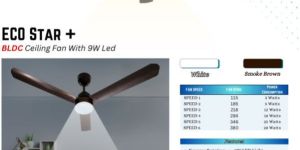 Eco Star Plus Moodlight BLDC Ceiling Fan