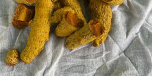 Turmeric