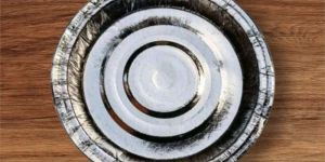 Disposable Paper Plates