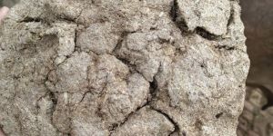 Organic Cows Dung Cakes