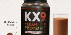chocolate vegan protein powder