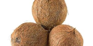 Coconut