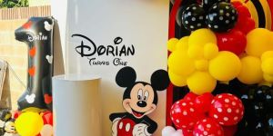 theme based birthday party decoration service