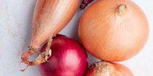 Fresh Red Onion