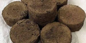 Cow Dung Cake