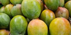 Fresh Mango