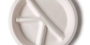 Bagasse Disposable Plate