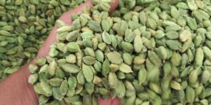 Green Cardamom
