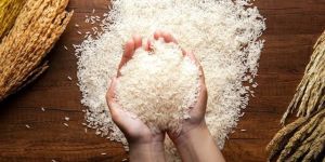 Basmati Rice