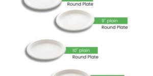 Disposable Plates