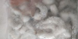Frozen Shrimps