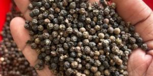 Black Pepper