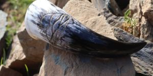 Viking Drinking Horn
