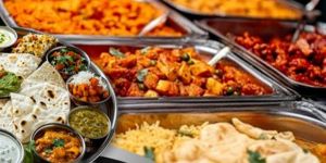 veg north indian food catering service