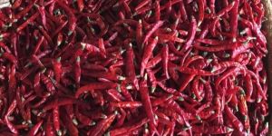 Fresh Red Chilli