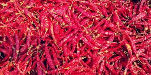 Dried Red Chili