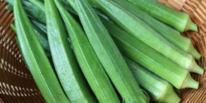 Okra
