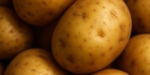 Potatoes
