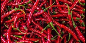 Fresh Red Chilli
