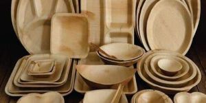 Areca Leaf Disposable Plates