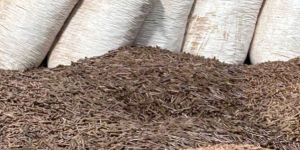 Biomass Pellet