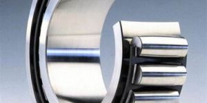 Carb Toroidal Roller Bearings