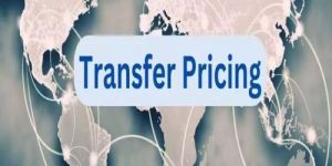 Transfer Pricing Audit Service