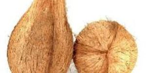 Dried Semi Husked Coconut