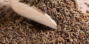 Natural Whole Cumin Seeds