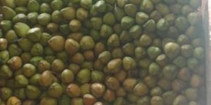 Tender Green Coconut