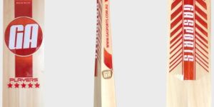 Cricket Bat Players