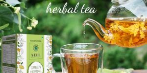 Green Herbal Tea Pack OF 10 Sachets