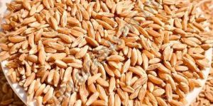 Brown Organic Khapli Wheat Grain