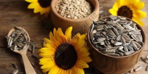 Organic Sunflower Seeds