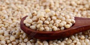 White Hybrid Jowar Seeds