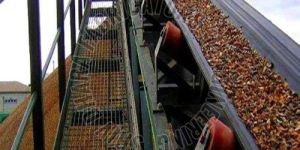 Material Handling Conveyor System