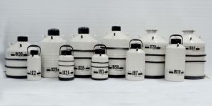 Inox Liquid Nitrogen Container & Dry Shippers