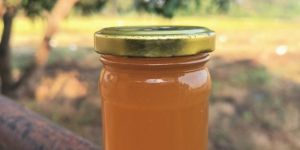 Honey