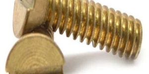 20 Mm Minus Type Brass Slotted Machine Screw