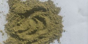 Dried Curry Leaves Powder