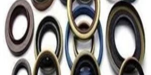 Oil Seals