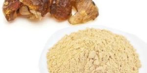 Guggul Extract Powder