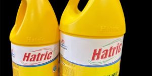 Hatric Paint Remover