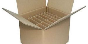 Inner Partition 2 Ply Carton Box