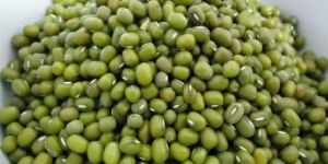 Green Mung Beans