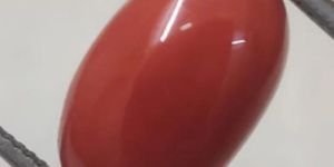 Natural Italian Coral Gemstone